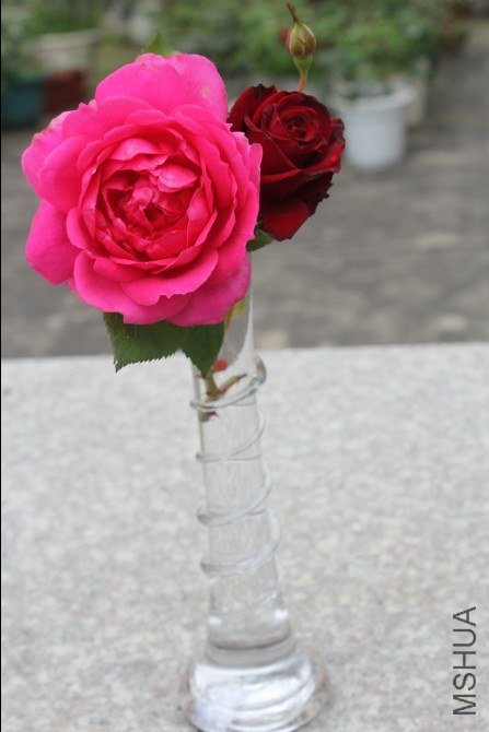 2013-04-12_192424.jpg
