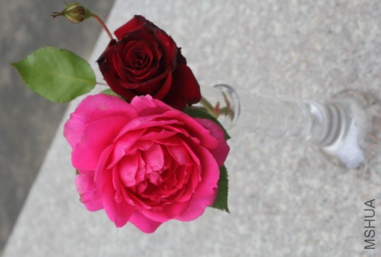 2013-04-12_192440.jpg