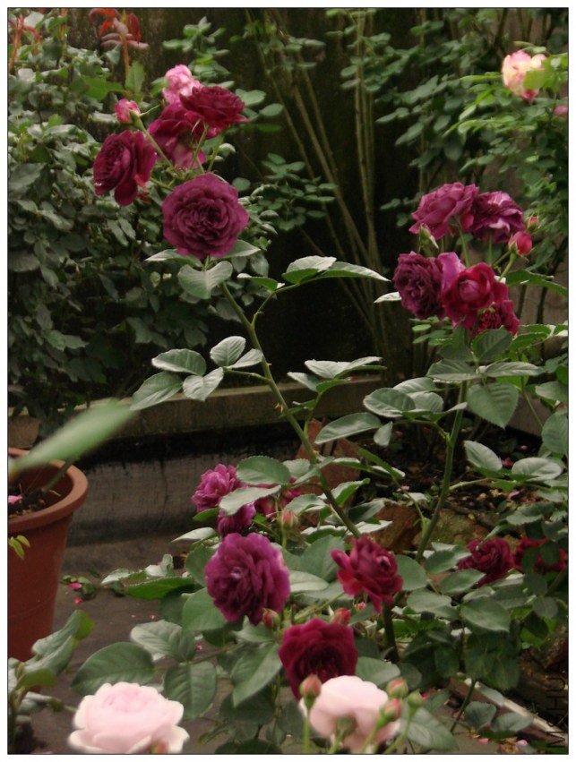 ����֮��