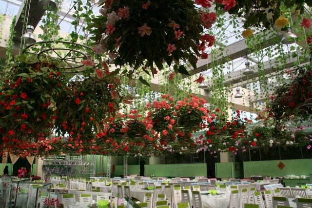 ������С IMG_9725.JPG