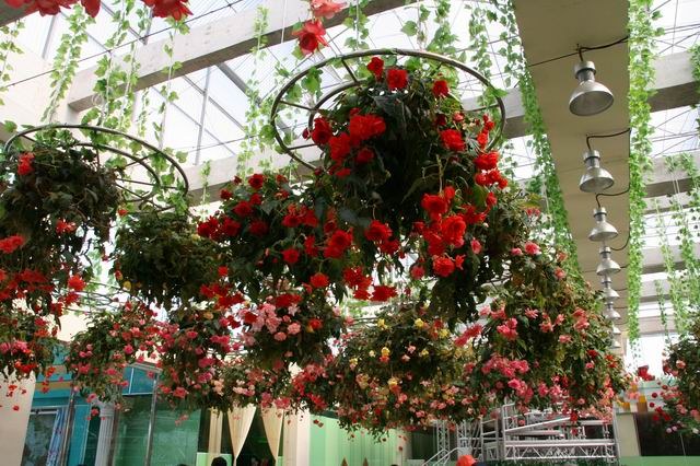 ������С IMG_9714.JPG