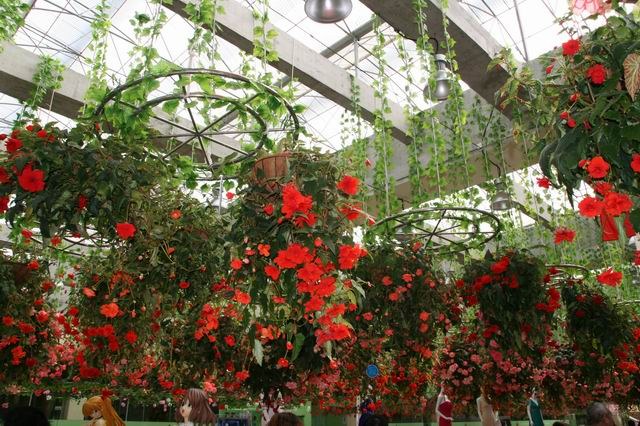 ������С IMG_9715.JPG