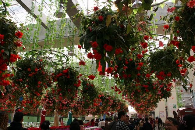 ������С IMG_9716.JPG