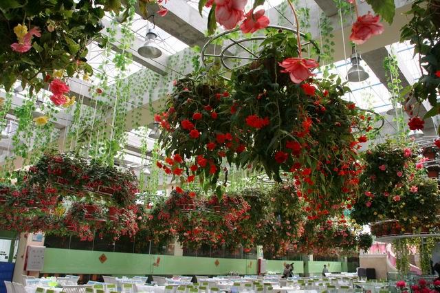 ������С IMG_9722.JPG