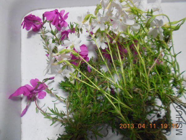 ��Ƭ 107_����.jpg