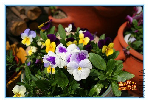 ��Ƭ 107_����.jpg