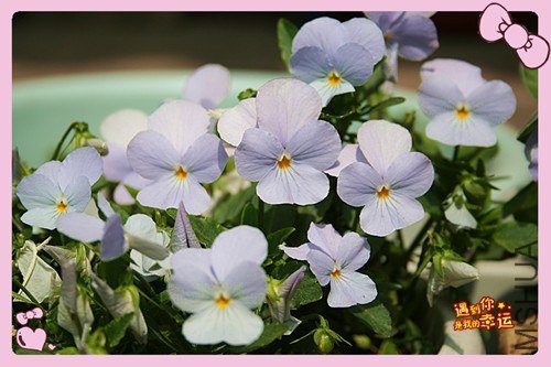 ��Ƭ 098_����.jpg