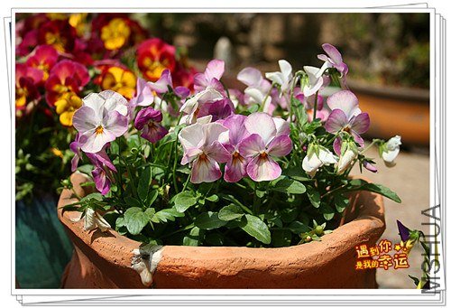 ��Ƭ 123_����.jpg