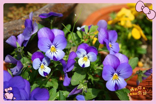 ��Ƭ 089_����.jpg