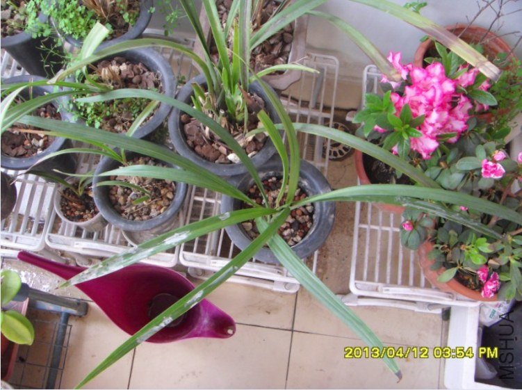 QQ��ͼ20130413152117.jpg