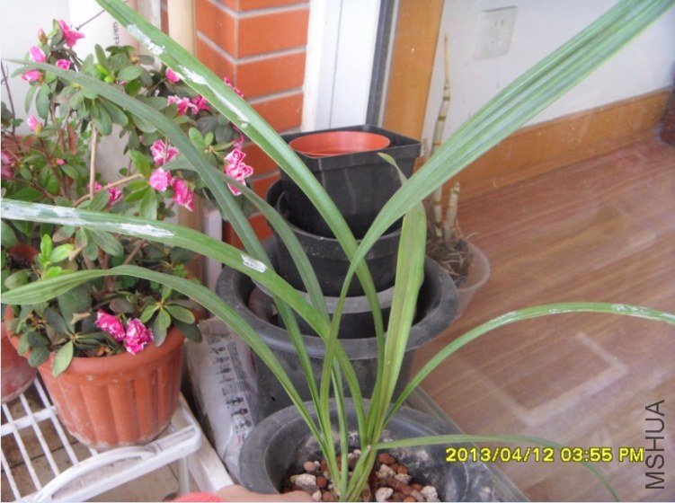 QQ��ͼ20130413152128.jpg