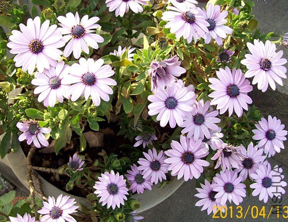 100_2848_����.jpg