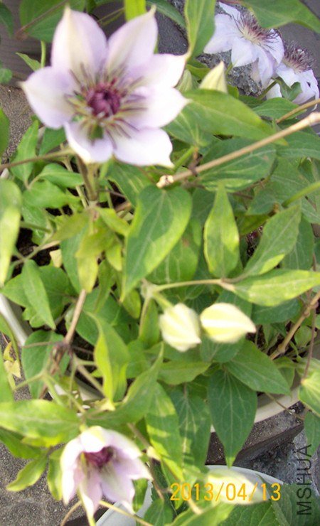 100_2849_����.jpg