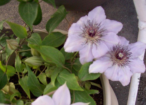 100_2850_����.jpg
