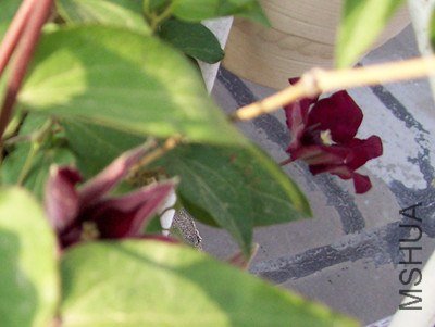 100_2853_����.jpg