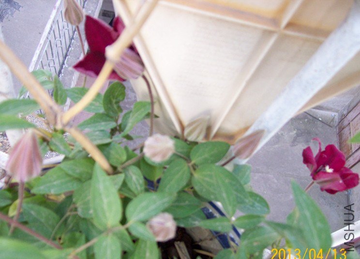 100_2854_����.jpg