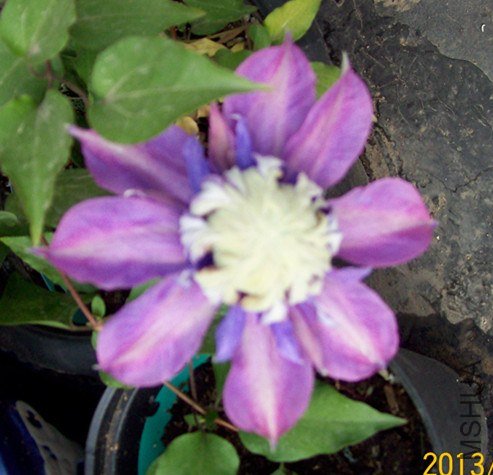 100_2856_����.jpg