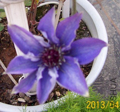100_2861_����.jpg