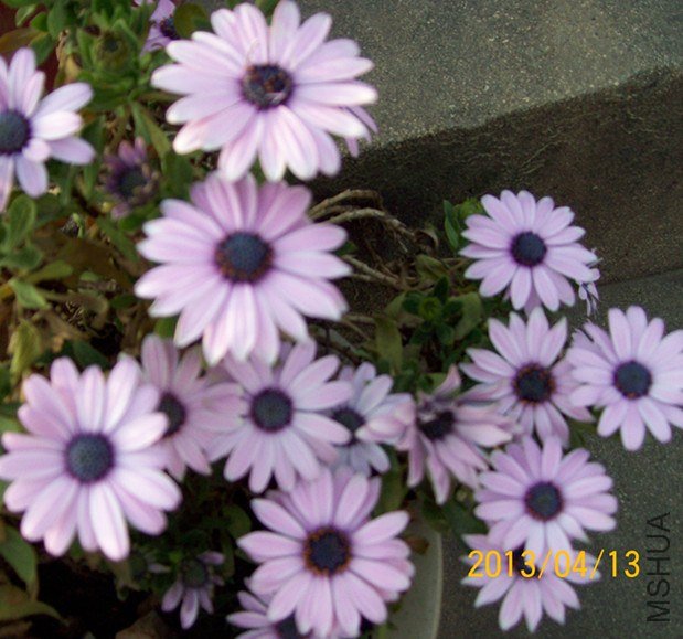 100_2864_����.jpg