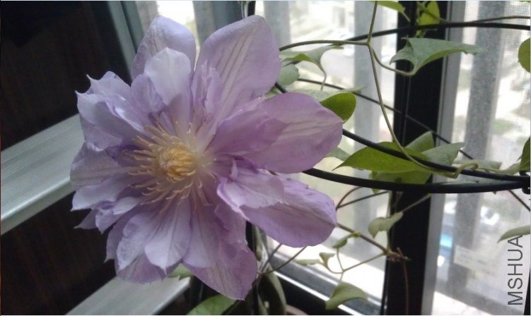 QQ��ͼ20130413185425.jpg