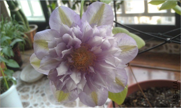 QQ��ͼ20130413185455.jpg