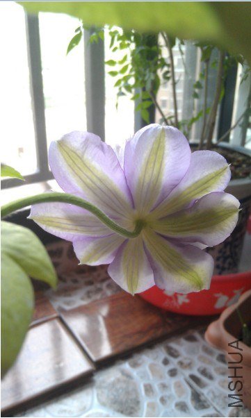 QQ��ͼ20130413185534.jpg