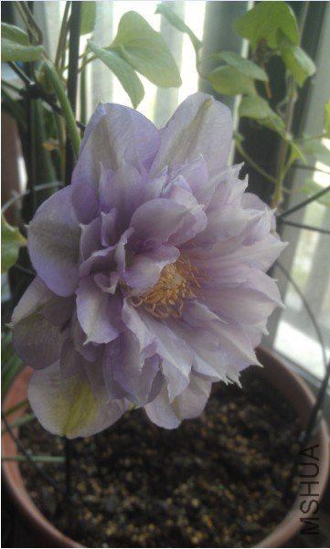 QQ��ͼ20130413185643.jpg