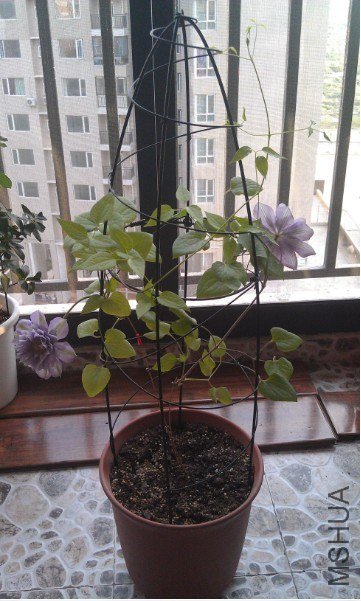 QQ��ͼ20130413185703.jpg