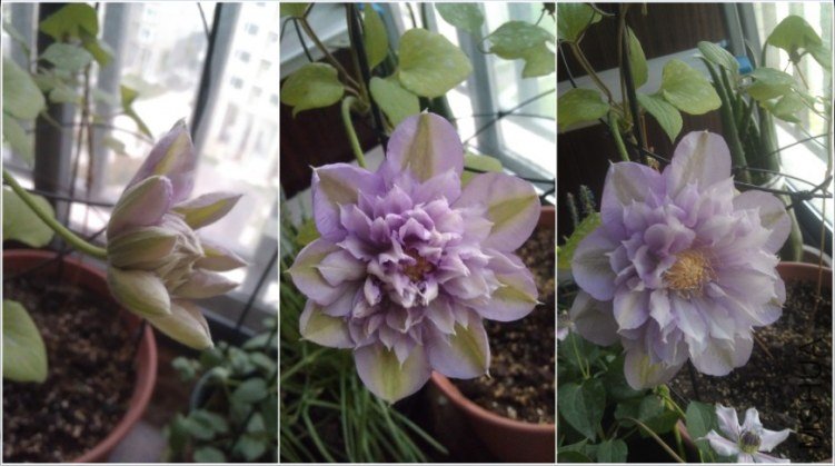 QQ��ͼ20130413192233.jpg
