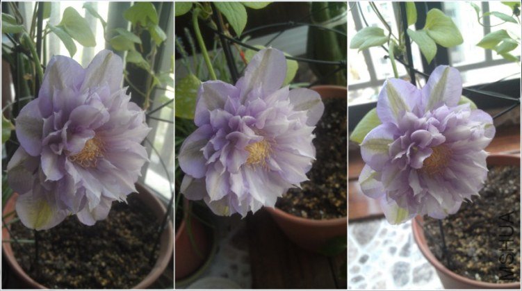 QQ��ͼ20130413192237.jpg