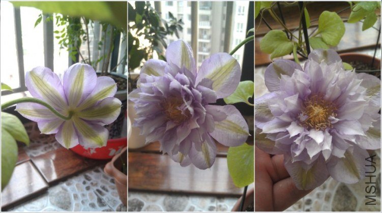 QQ��ͼ20130413192241.jpg