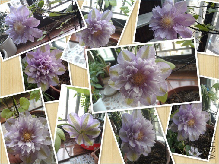 QQ��ͼ20130413192250.jpg