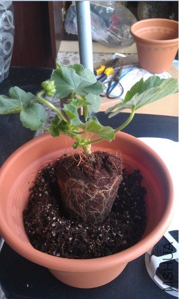 QQ��ͼ20130413193851.jpg