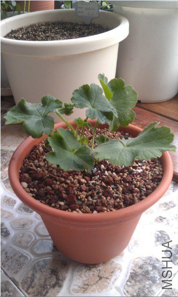 QQ��ͼ20130413193914.jpg