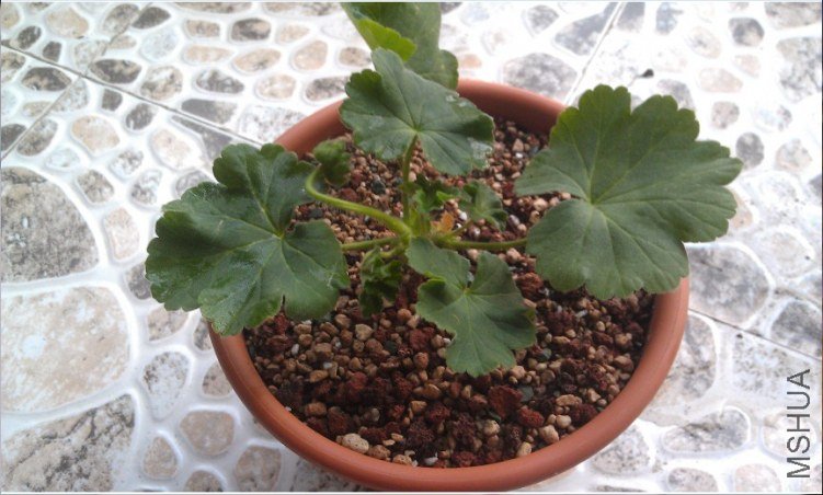 QQ��ͼ20130413193951.jpg