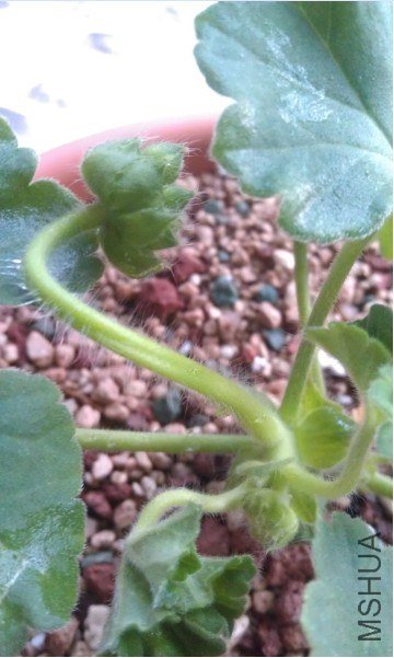 QQ��ͼ20130413194019.jpg