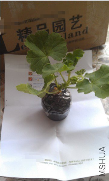 QQ��ͼ20130413193755_����.jpg