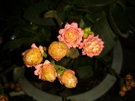 2013-04-03 20.10.25.jpg