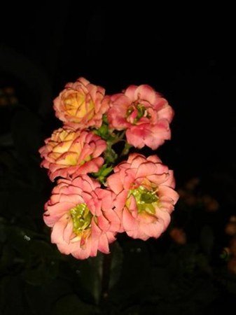 2013-04-03 20.10.41.jpg