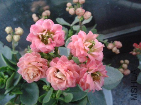 2013-04-04 18.16.58.jpg
