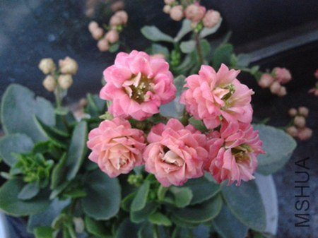 2013-04-04 18.18.22.jpg