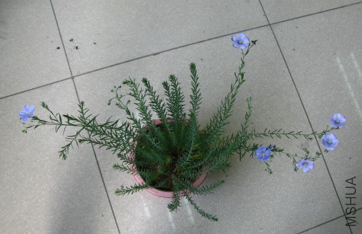 psb (1).jpg