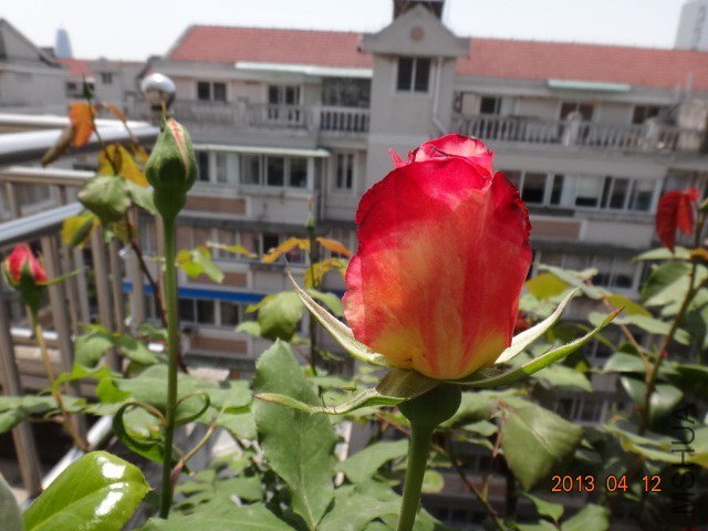 DSC03897.JPG