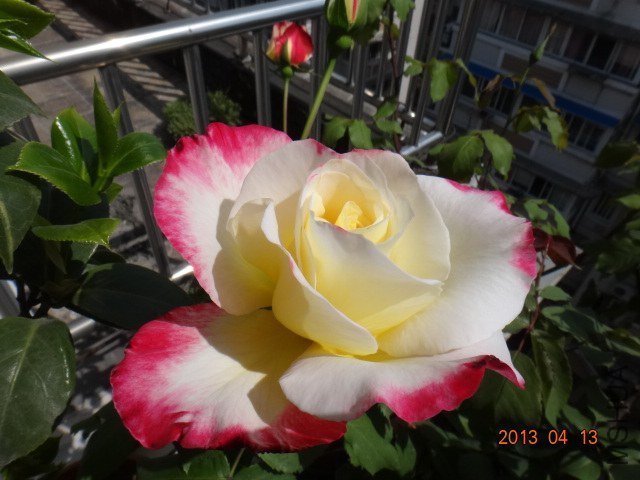 DSC04004.JPG