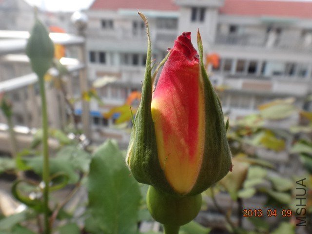 DSC03283.JPG