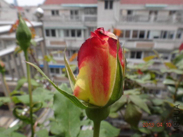 DSC03630.JPG