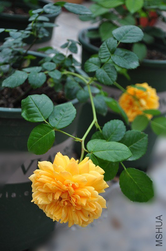 ���� 711_����.jpg