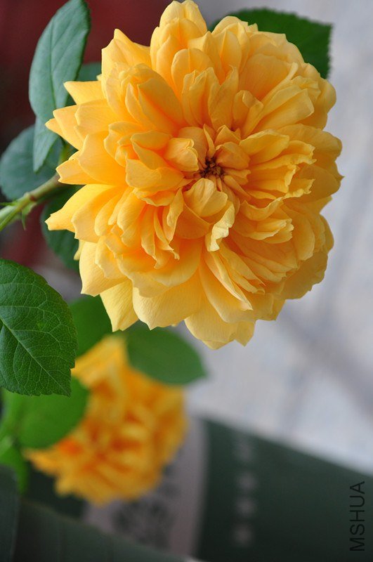 ���� 708_����.jpg