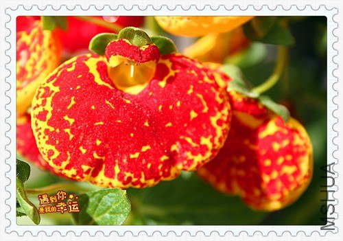 ��Ƭ 044_����.jpg