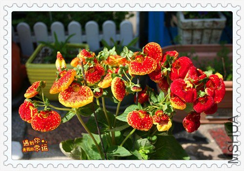 ��Ƭ 040_����.jpg